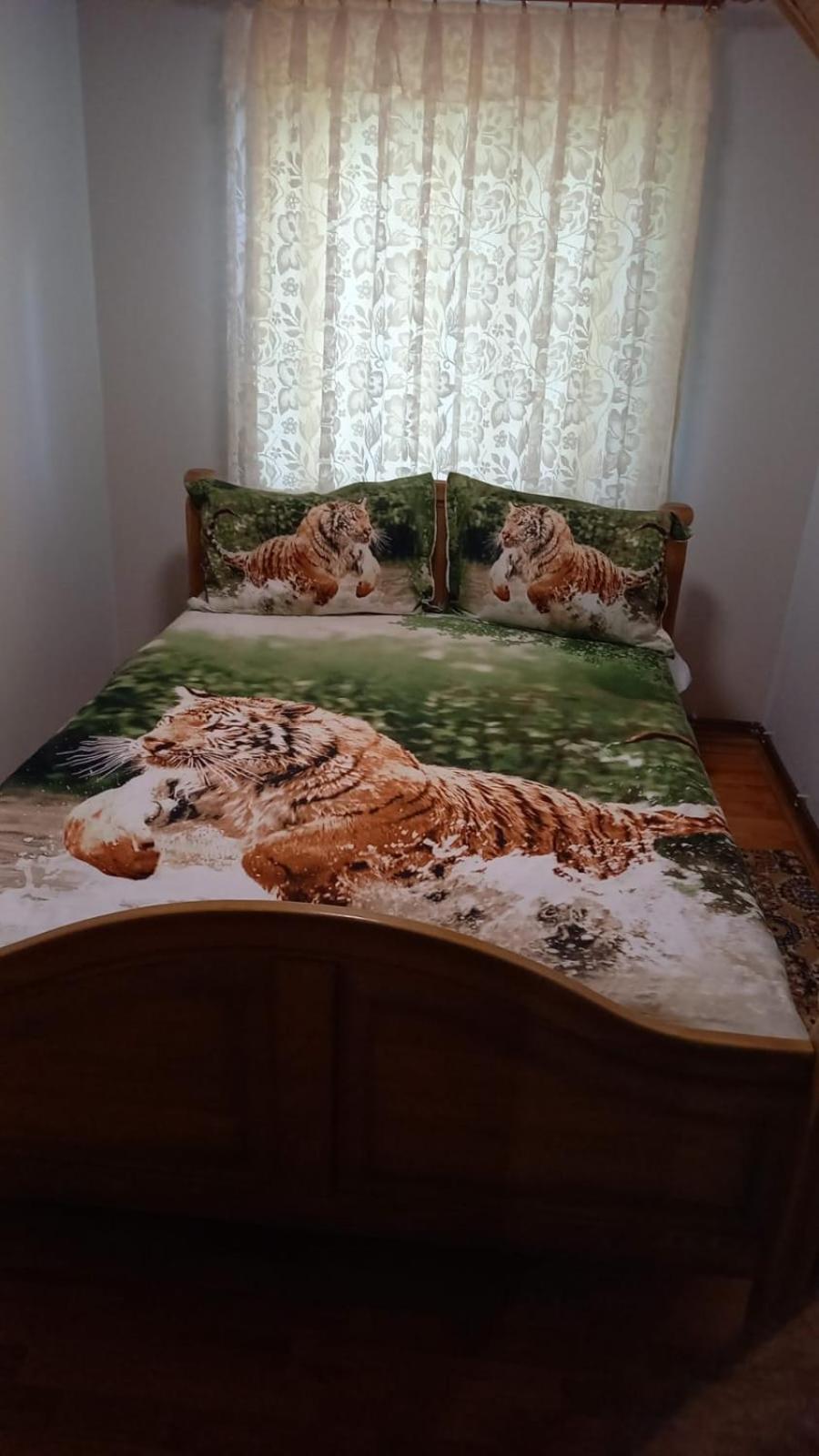 Casa De Vacanta Geoagiu Băi Dış mekan fotoğraf